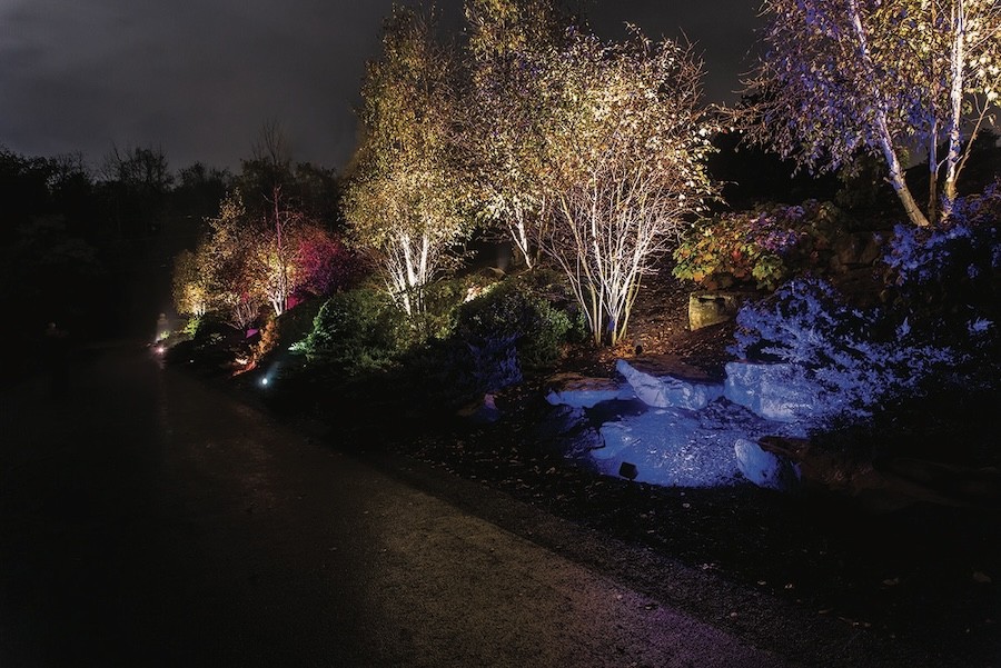 Landscaping lit up at night with uplights.